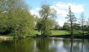 The Lawn, Swindon